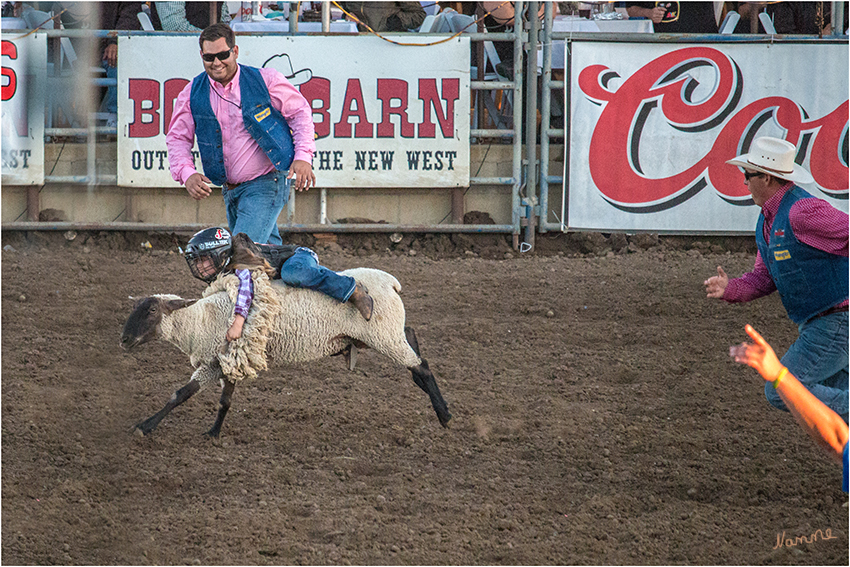 Kinderrodeo
Mutton Busting - ist das Rodeo für Kinder wo sie sich auf Schafen so lang wie möglich halten sollen
Schlüsselwörter: Rodeo Mutton Busting Schafe reiten