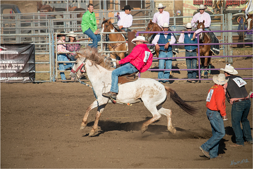 Rodeo - Pferd reiten ohne Sattel
Bareback Riding - hier muss der Reiter mindestens 8 Sekunden auf einem bockenden Pferd ohne Sattel sitzen. Dabei darf er sich mit nur einer Hand an einem "Gürtel" festhalten, während die andere frei in die Luft gestreckt werden muss und weder seinen Körper noch den des Pferdes berühren darf.
laut travelworldonline.de
Schlüsselwörter: Rodeo Pferd reiten Bareback Riding