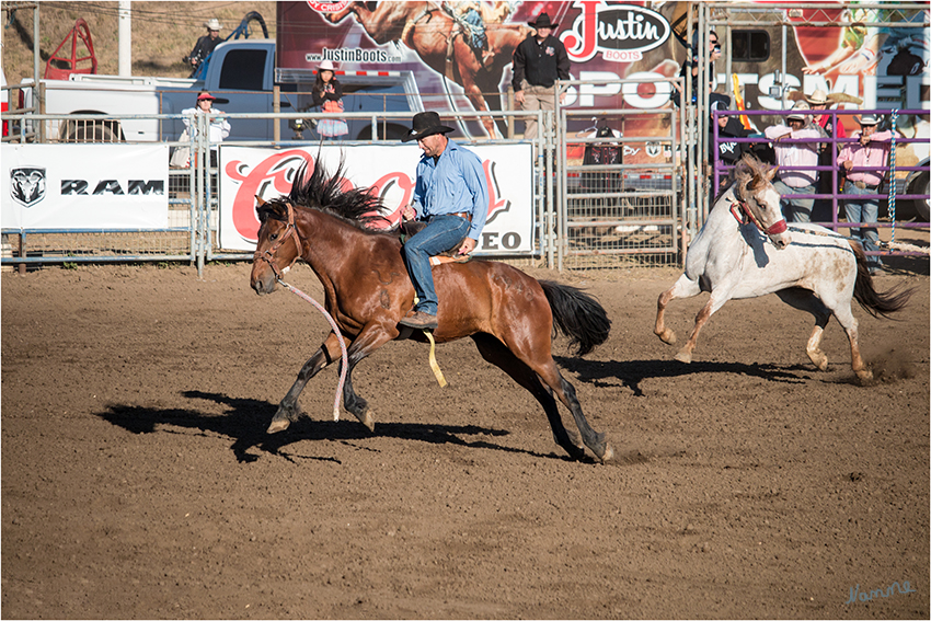 Rodeo - Pferd reiten ohne Sattel
Bareback Riding - hier muss der Reiter mindestens 8 Sekunden auf einem bockenden Pferd ohne Sattel sitzen. Dabei darf er sich mit nur einer Hand an einem "Gürtel" festhalten, während die andere frei in die Luft gestreckt werden muss und weder seinen Körper noch den des Pferdes berühren darf.
laut travelworldonline.de
Schlüsselwörter: Rodeo Pferd reiten Bareback Riding