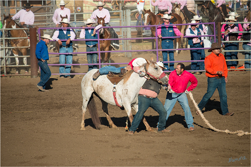 Rodeo - Pferd reiten ohne Sattel
Bareback Riding - hier muss der Reiter mindestens 8 Sekunden auf einem bockenden Pferd ohne Sattel sitzen. Dabei darf er sich mit nur einer Hand an einem "Gürtel" festhalten, während die andere frei in die Luft gestreckt werden muss und weder seinen Körper noch den des Pferdes berühren darf.
laut travelworldonline.de
Schlüsselwörter: Rodeo Pferd reiten Bareback Riding