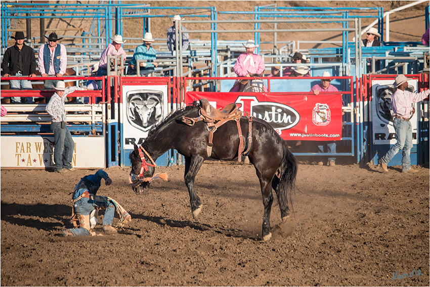 Wildpferdreiten mit Sattel
Saddle Bronc Riding - unterscheidet sich vom Bareback Riding dadurch, dass sich der Reiter so lange wie möglich auf einem gesattelten Pferd halten muss. Er hält sich an einem Halfterstrick fest, Kandare und Trense werden nicht verwendet.
laut gowest-reisen.de
Schlüsselwörter: Rodeo Wildpferdreiten Saddle Bronc Riding