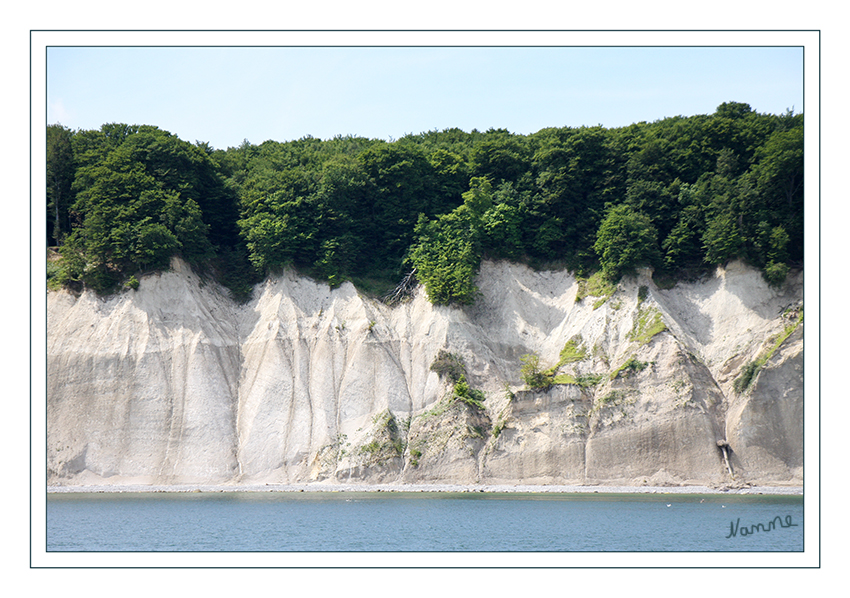 Kreidefelsen
Die Kreidefelsen der Insel Rügen sind einer ständigen Erosion ausgesetzt. Dadurch kommt es immer wieder von Zeit zu Zeit zu kleineren oder größeren Küstenabbrüchen. Durch die wechselnden Einflüsse der Ostsee bei Sturm oder lang anhaltendem Regenwetter verändert die Küstelinie immer wieder ihr Gesicht. laut ruegen-inselinfo.de
Schlüsselwörter: Rügen, Sassnitz, Kreidefelsen