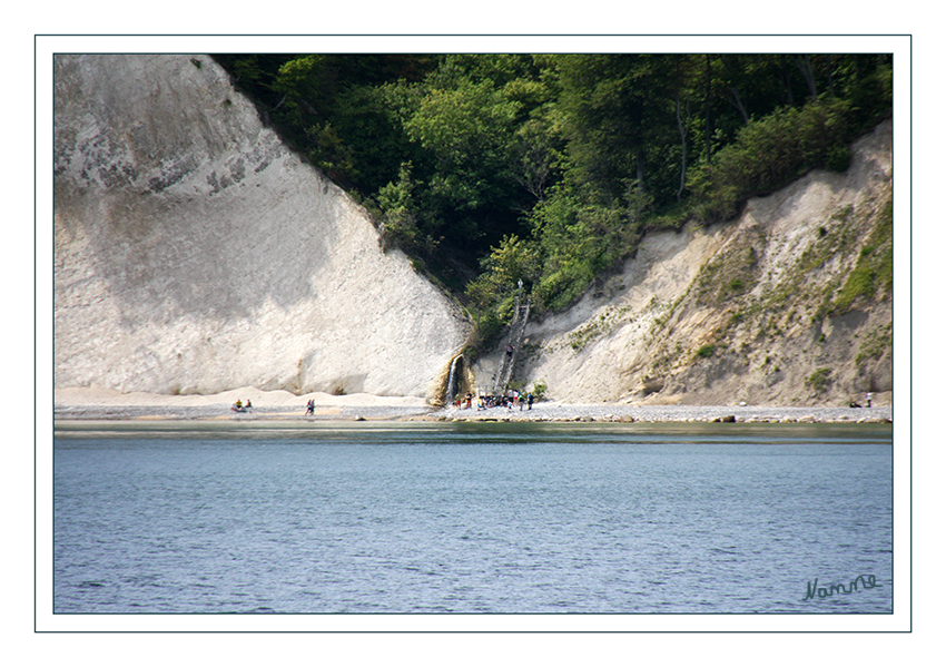 Kreidefelsen
Die Kreidefelsen der Insel Rügen sind einer ständigen Erosion ausgesetzt. Mit jedem Sturm brechen große Stücke aus den Felsen und reißen gelegentlich auch Bäume und Sträucher mit ins Meer.
Schlüsselwörter: Rügen, Sassnitz, Kreidefelsen