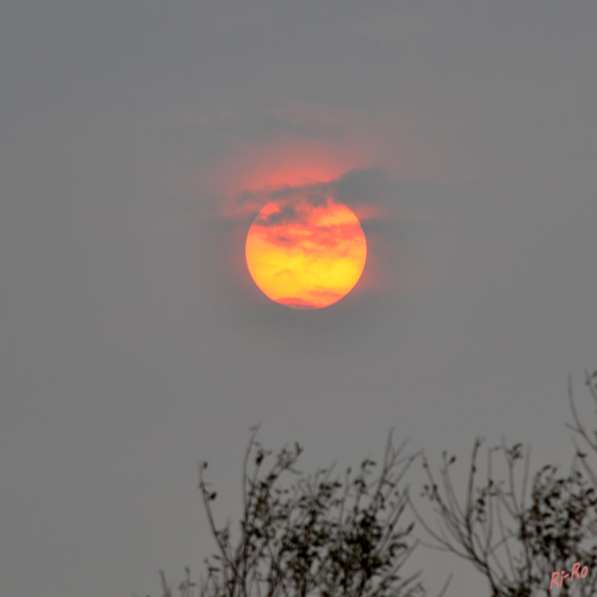 Sonne in Ostfriesland
Der Himmel  ist grau durch die Staubwolken von den Waldbränden in Portugal (Oktober 2017)
Schlüsselwörter: Nordsee, Norden