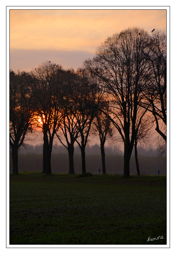 Novemberfarben
Sonnenaufgang

