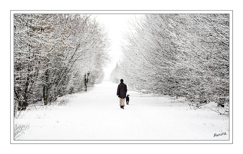 Einsam
in der Schneelandschaft
