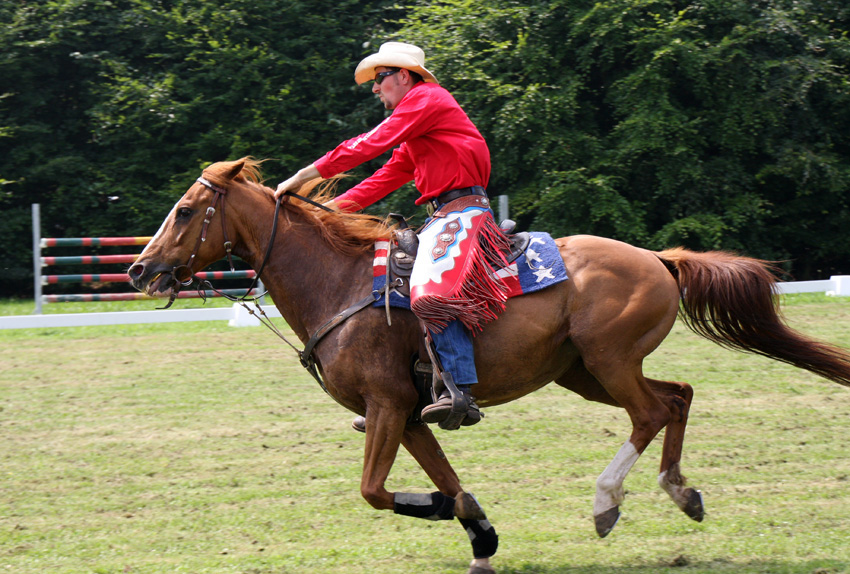 Rodeo
Schlüsselwörter: Rodeo                               Limited Rodeo Riders