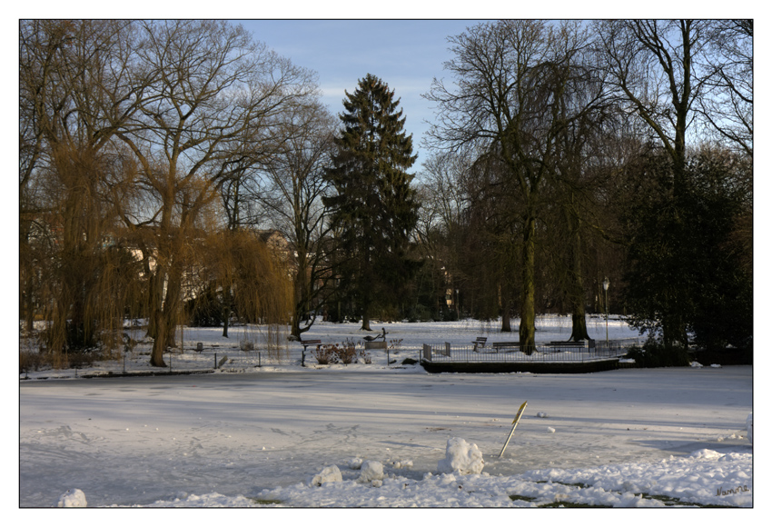 Winterzauber
Bei blauem Himmel bei uns im Stadtgarten
Schlüsselwörter: Neuss