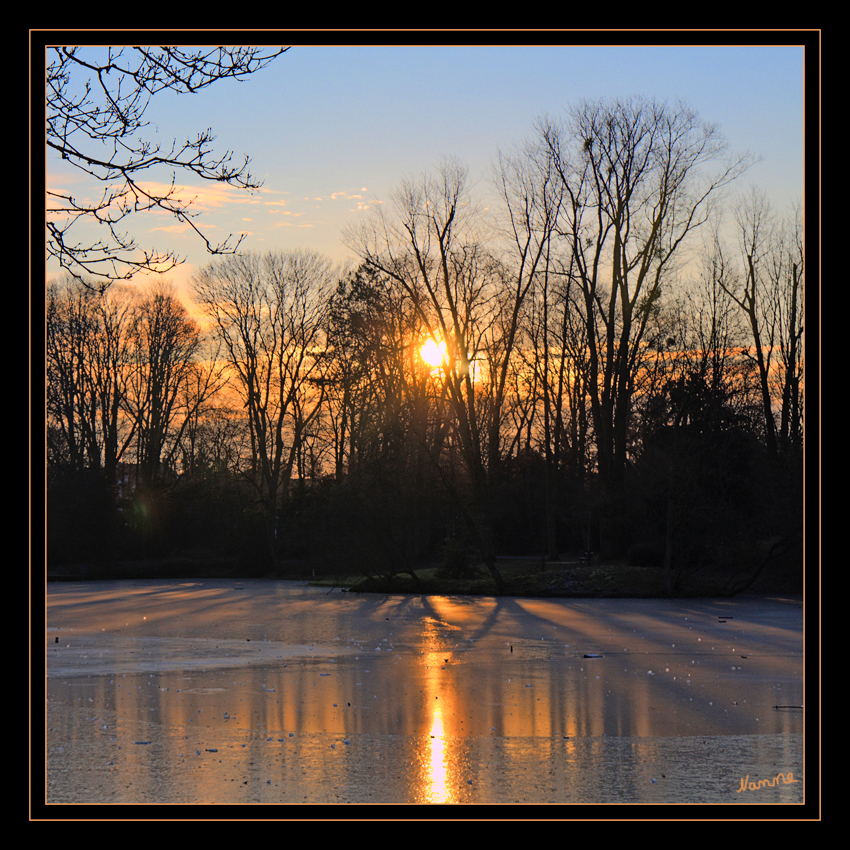 Sonnenaufgang
im Stadtgarten Neuss
Schlüsselwörter: Stadtgarten               Neuss