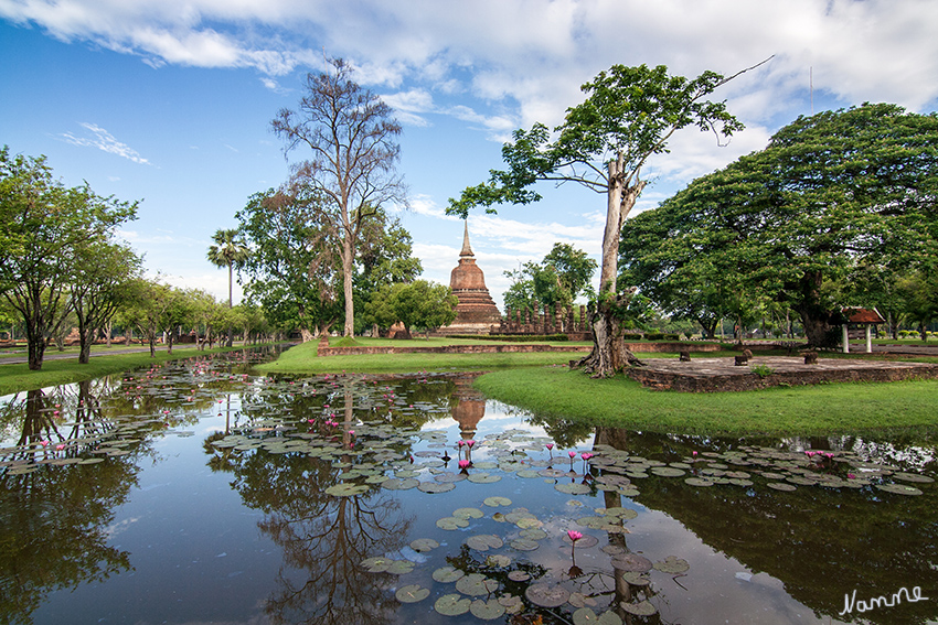 Geschichtspark Sukhothai
Die Stadt, von den Einheimischen auch „Mueang Kao“ (Alte Stadt) genannt, war durch Erdwälle und Wassergräben von etwa 2 km x 1,6 km Ausdehnung umgeben.
Schlüsselwörter: Thailand Geschichtspark Sukhothai