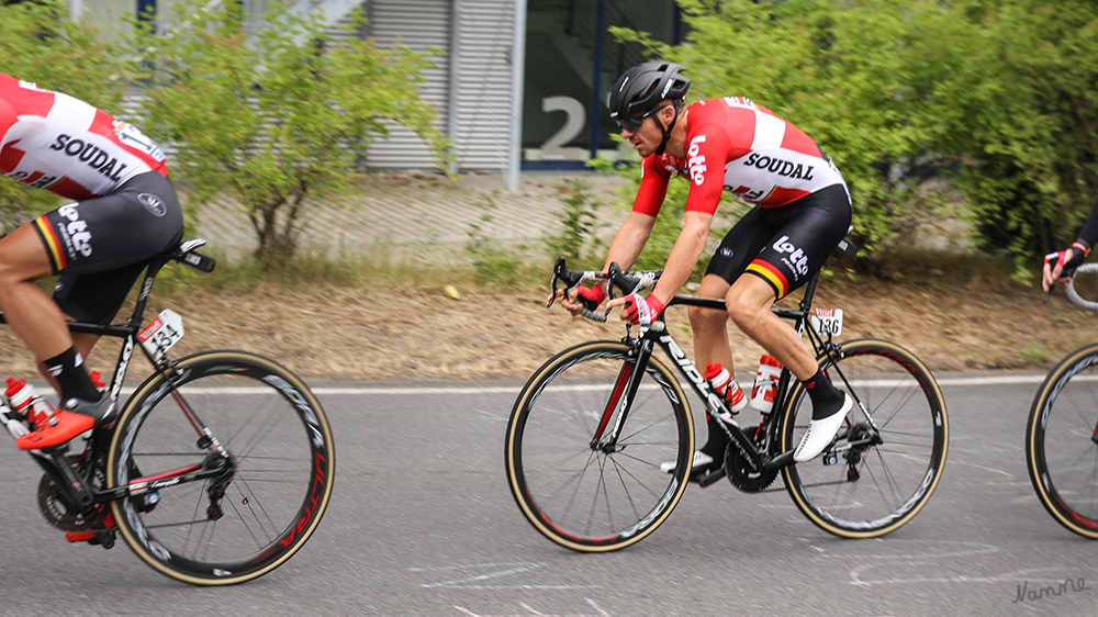 Tour de France
Hauptfeld
Schlüsselwörter: Tour de France, Büttgen