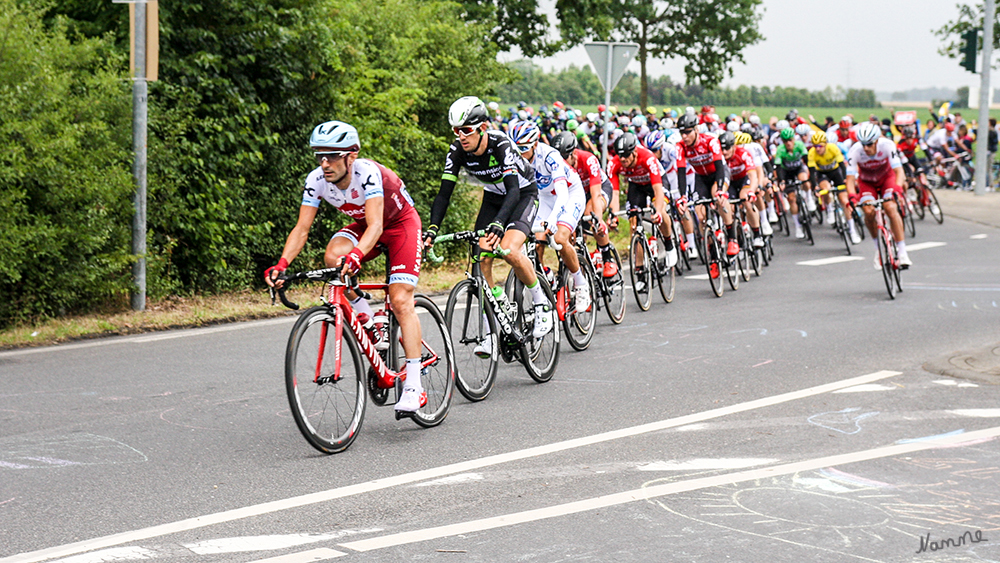 Tour de France
Hauptfeld
Schlüsselwörter: Tour de France, Büttgen