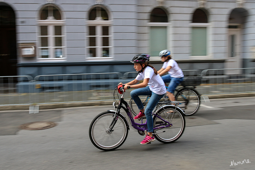 Tour de Neuss 2016
Mitzieher - Kinder fahren mit den Profis
Schlüsselwörter: Tour de Neuss