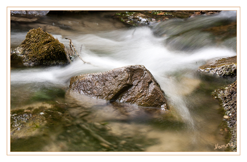 Wasser
Schlüsselwörter: Wasser