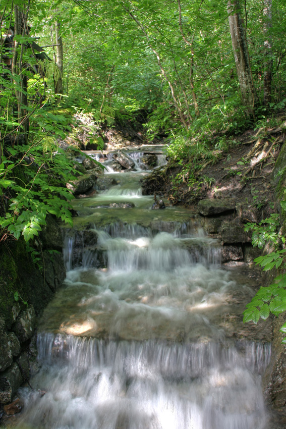 Nur ein kleiner Bach
Schlüsselwörter: Bach    Kaskaden    Wasser