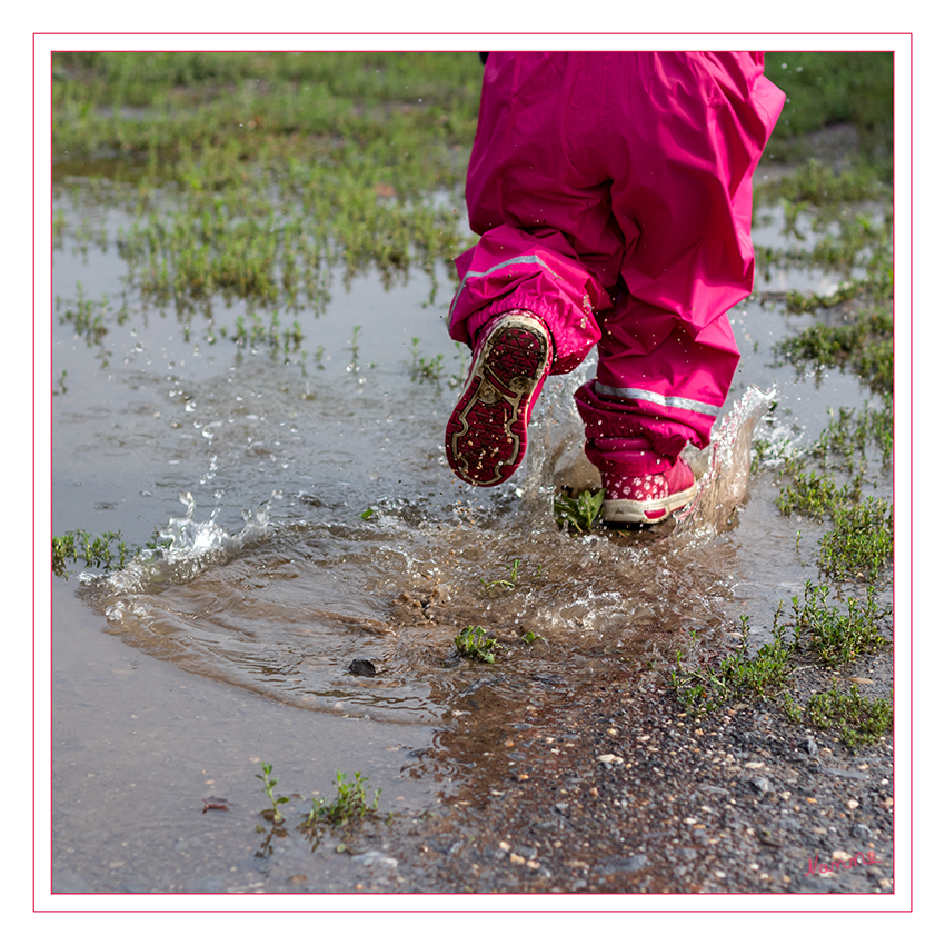 36 - Wasserpfütze
Schlüsselwörter: Wasserpfütze