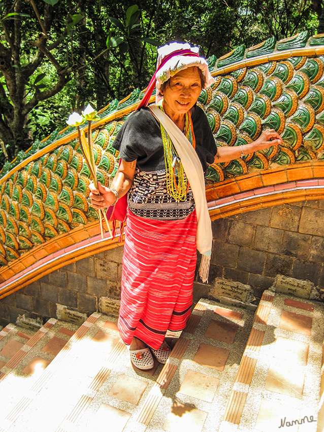 Wat Doi Suthep
Wahre Gläubige nehmen die Mühe des Treppensteigens auf sich.
Es ist kurz vor einem wichtigen Feiertag.
Schlüsselwörter: Thailand Wat Doi Suthep