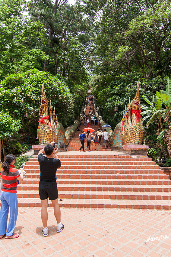 Wat Doi Suthep
Vom Fuße des Tempels gelangt man in den Tempelbezirk über eine Treppe mit 200 Stufen, deren Geländer von den Körpern zweier riesiger Nagas gebildet wird.
Schlüsselwörter: Thailand Wat Doi Suthep
