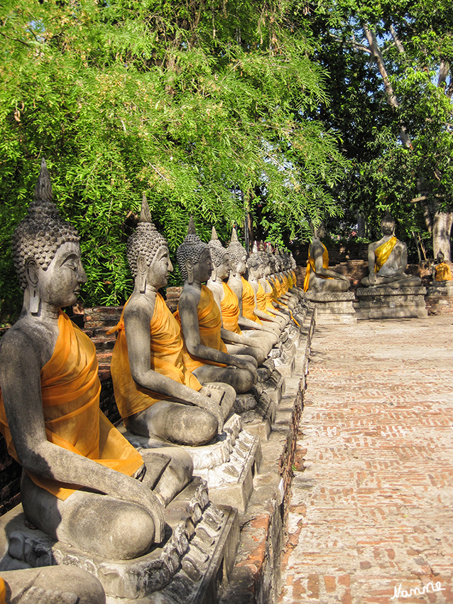 Wat Yai Chai Mongkon
Garten des Wat Yai Chai Mongkon
Schlüsselwörter: Thailand Wat Yai Chai Mongkon Ayutthaya Liegender Buddha