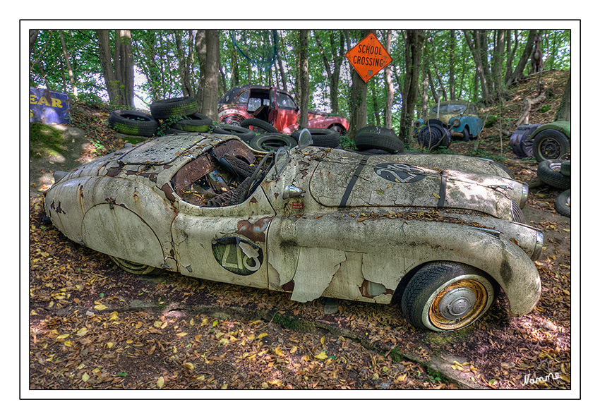 Die besten Jahre liegen...............
schon weit zurück

Jaguar
Schlüsselwörter: Autoskulpturenpark              Neandertal             Fröhlich