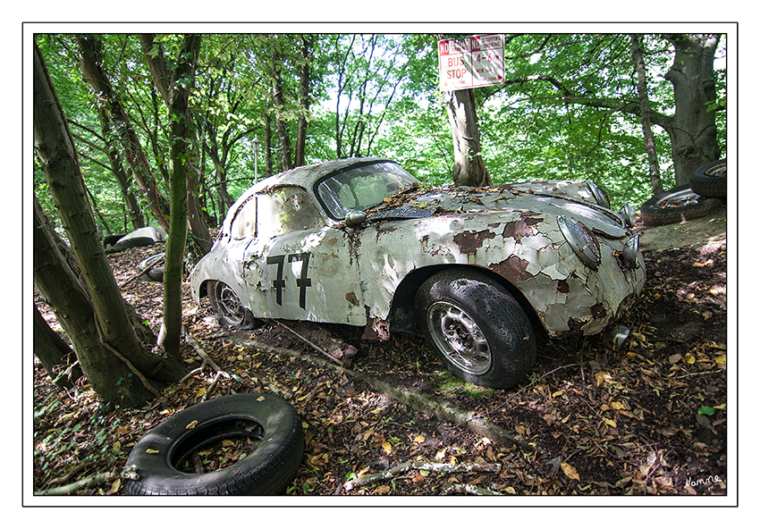 Die besten Jahre liegen...............
hinter ihm

Porsche
Schlüsselwörter: Autoskulpturenpark Neandertal Fröhlich