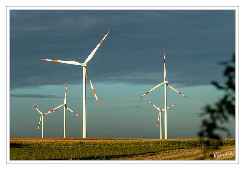 Morgens
Schlüsselwörter: Windräder