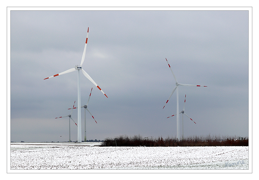 Winterliche Windräder
Schlüsselwörter: Winter, Schnee