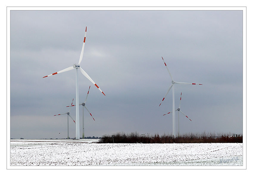 Winterliche Windräder
Schlüsselwörter: Winter, Schnee