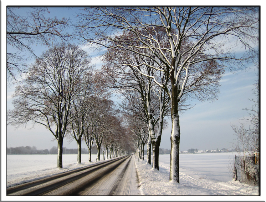 Der Weg nach hause
gestern kam für kurze Zeit die Sonne raus
