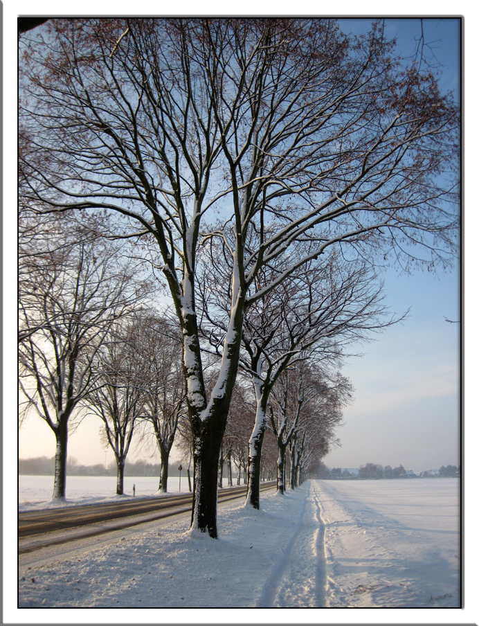 Der Weg nach hause
gestern kam für kurze Zeit die Sonne raus
