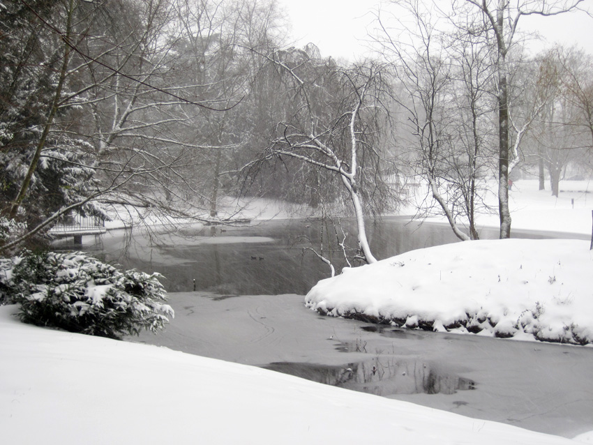 Es schneit l
Stadtpark im Dezember
Von morgens bis abends hat es geschneit
