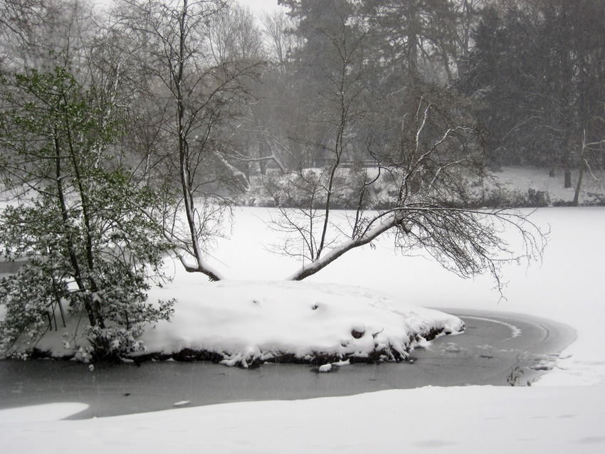 Es schneit ll
im Stadtpark Dezember 2009
