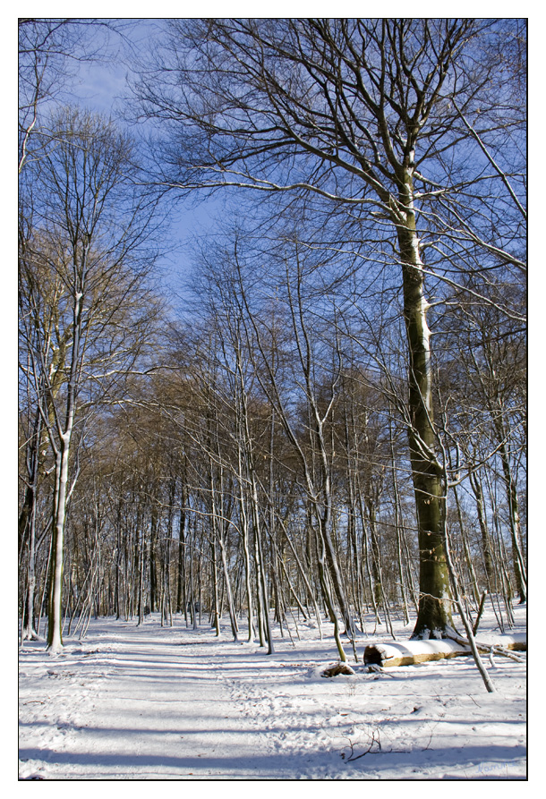 Die Farbenpracht des Winters
Wintereinbruch im März
