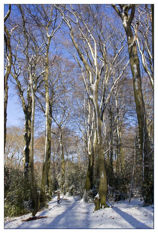 Winterfarben
Bei strahlenden Sonnenschein gab der Winter ein Gastspiel im März
