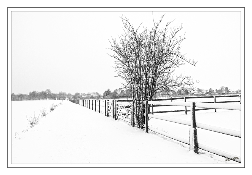 Black and white
Schlüsselwörter: Winterlandschaft