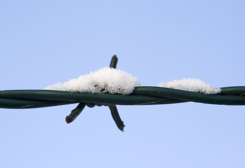 Schnee macht alles schön
