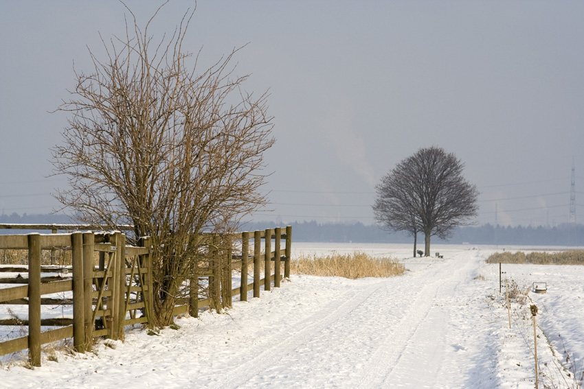 Winterlandschaft
Schlüsselwörter: Grefrath           Winter