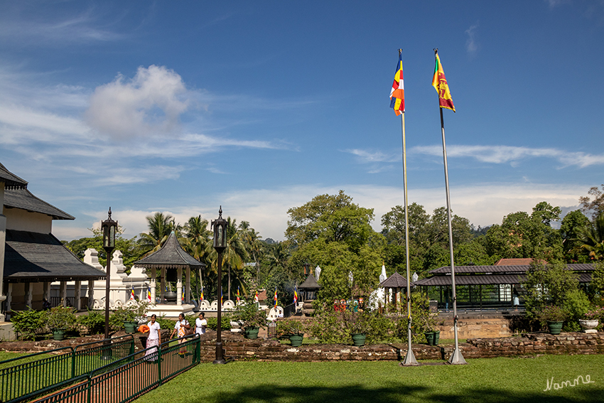 Kandy - Zahntempel
Schlüsselwörter: Sri Lanka,   Kandy