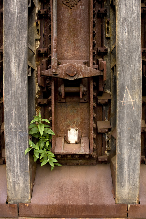 Die Natur
findet einen Weg ihr Territorium zurück zu erobern
Bei den Koksöfen der Kokerei Zollverein
Schlüsselwörter: Kokerei Zollverein             Essen