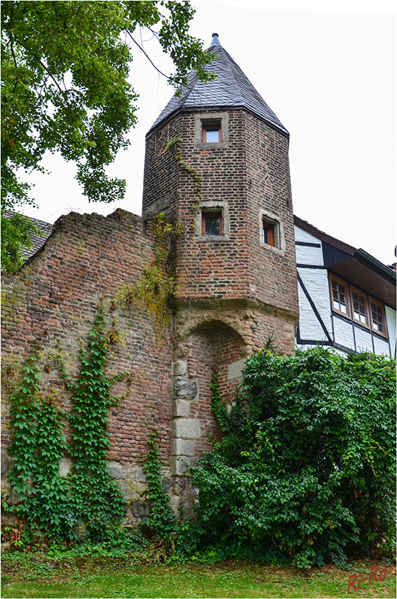 Zons Impressionen
Zons (ehemals Feste Zons genannt, heute offiziell Stadt Zons) ist eine linksrheinische Ortschaft am Niederrhein. Seit der kommunalen Neugliederung 1975 ist sie Stadtteil der Stadt Dormagen im Rhein-Kreis Neuss.
laut Wikipedia
Schlüsselwörter: Zons