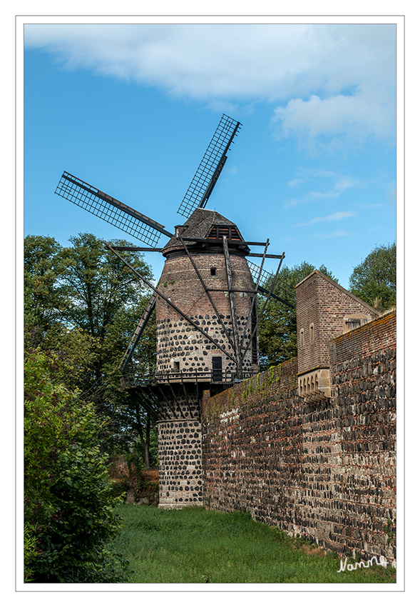 Windmühle
Die Zonser Windmühle, ein siebengeschossiger Bau vom Typ einer Bärwindmühle, ist der südwestliche Eck-Wehrturm der Stadtbefestigung. Sie wurde seit dem Spätmittelalter mehrfach umgebaut und war bis 1907 in Betrieb. Heute ist sie ein Baudenkmal. laut zons-geschichte
Schlüsselwörter: Zons