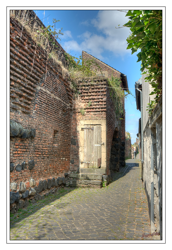 Mauergasse
in Zons
Schlüsselwörter: Zons