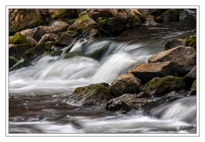 Wasser
Schlüsselwörter: Wasser