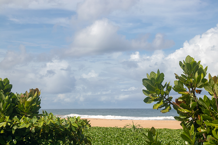 Ahungalla am Strand
Schlüsselwörter: Sri Lanka,  Strand, Ahungalla