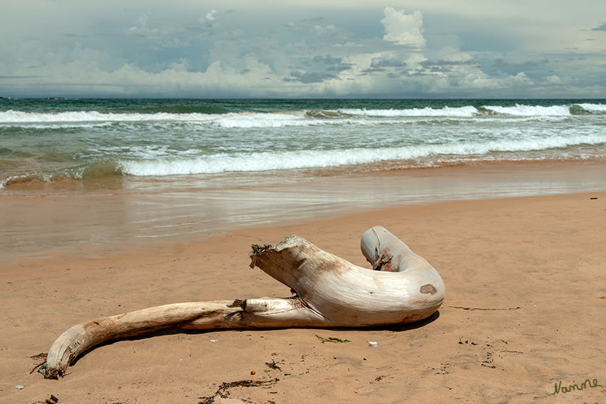 Bentotaimpressionen
Am Strand
Schlüsselwörter: Sri Lanka, Bentota