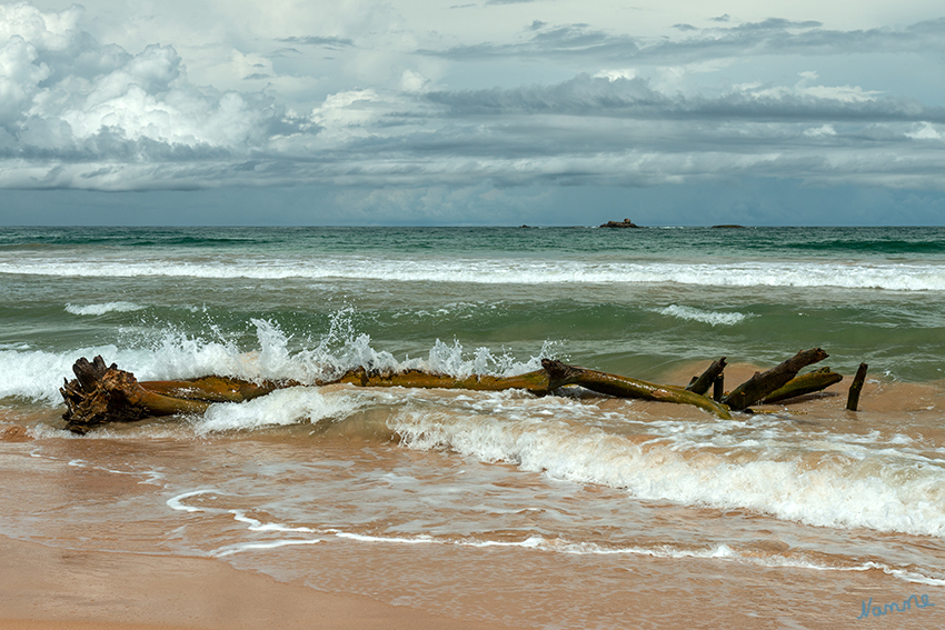 Bentotaimpressionen
Strandgut
Schlüsselwörter: Sri Lanka,   Bentota