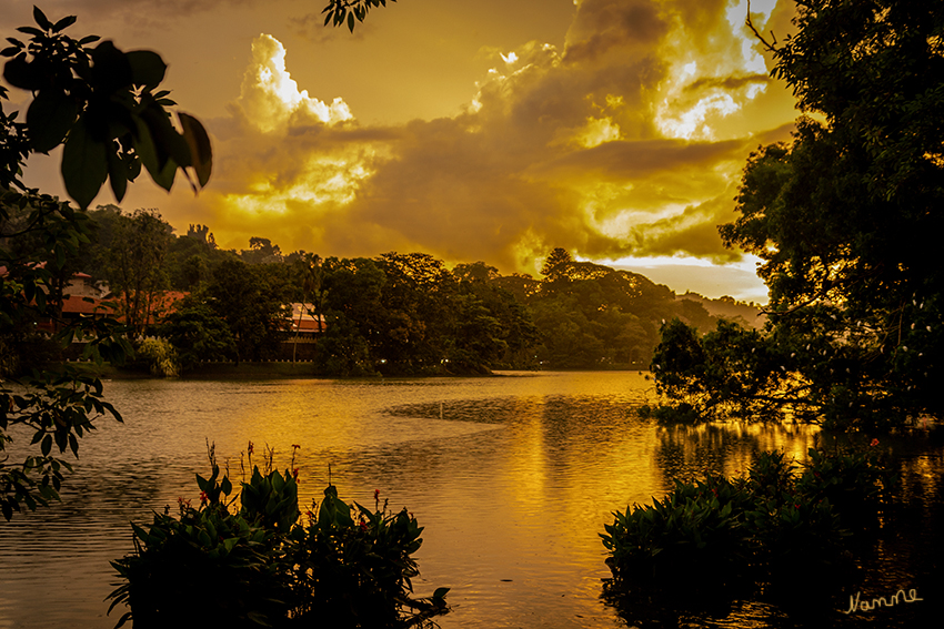 Sonnenuntergang
über dem Kandy Lake
Kandy Lake, auch bekannt als Kiri Muhuda oder das Meer der Milch, ist ein künstlicher See im Herzen der Hügelstadt Kandy , Sri Lanka , erbaut 1807 von König Sri Wickrama Rajasinghe neben dem Zahntempel .
Schlüsselwörter: Sri Lanka, Kandy