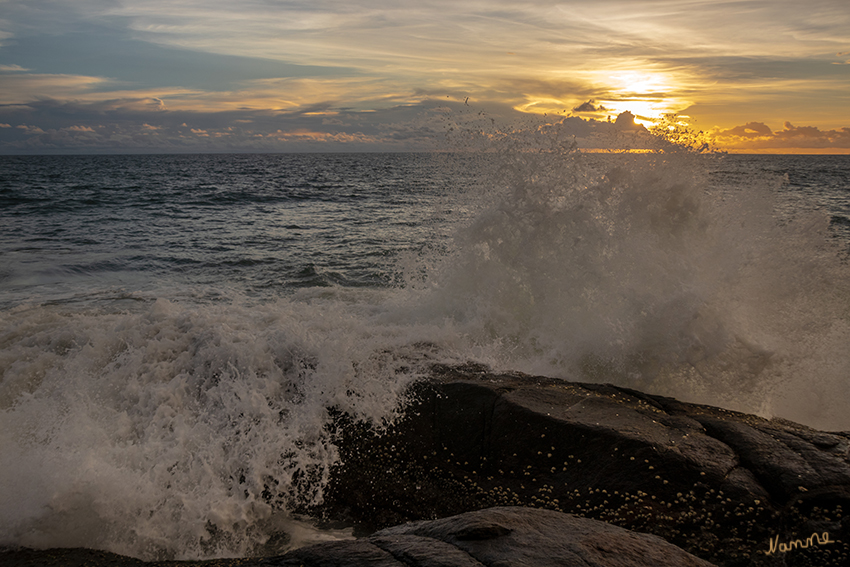 Sonnenuntergang
von unserem Lieblingsplatz am Strand von Ahungalla
Schlüsselwörter: Sri Lanka, Strand, Ahungalla