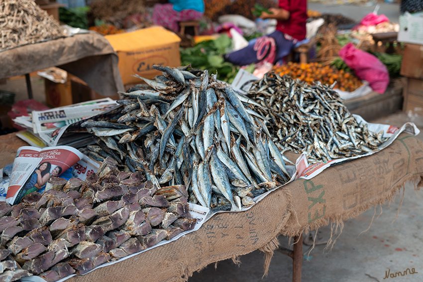 Unterwegs
Fisch- und Gemüsemarkt
Schlüsselwörter: Sri Lanka,   