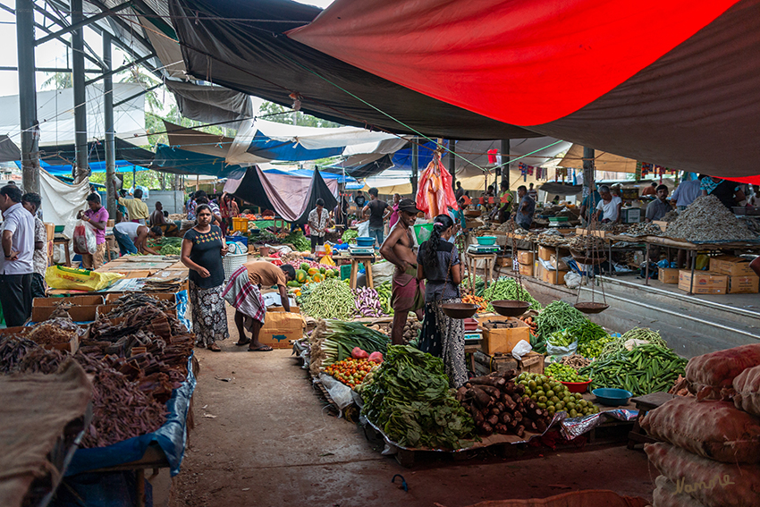 Unterwegs
Fisch- und Gemüsemarkt
Schlüsselwörter: Sri Lanka,   